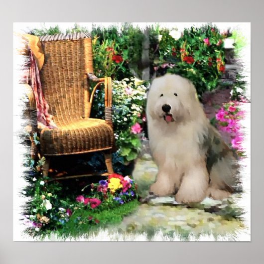 Old English Sheepdog Art Print Poster (Vorne)