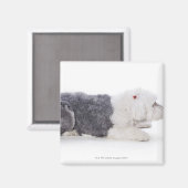 Old English Sheepdog auf weißem Hintergrund Magnet (Vorderseite/Rückseite)