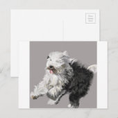 Old English Sheepdog - "Coming Through!" Postkarte (Vorne/Hinten)