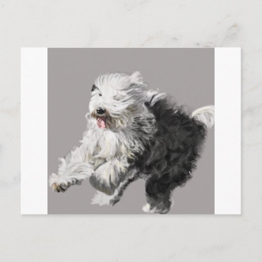 Old English Sheepdog - "Coming Through!" Postkarte (Vorderseite)