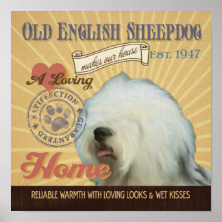 Old English Sheepdog Dog Art Poster