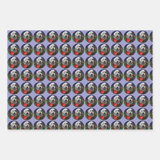 Old English Sheepdog Geschenkpapier Set (Vorderseite 3)