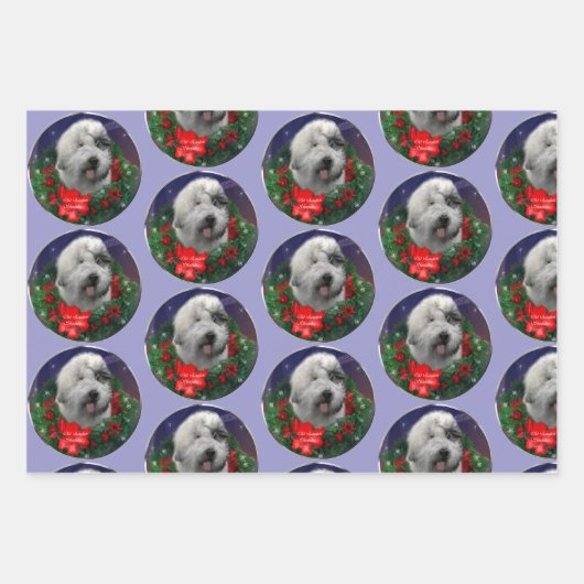 Old English Sheepdog Geschenkpapier Set (Vorderseite)