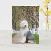 Old English Sheepdog Grußkarten Karte (Gelbe Blume)