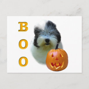 Old English Sheepdog Halloween Boo Postkarte