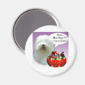 Old English Sheepdog Halloween Candy Magnet (Vorderseite/Rückseite)