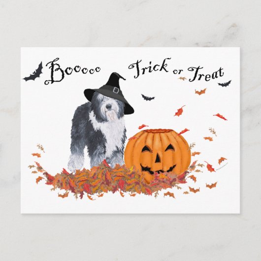 Old English Sheepdog Halloween Postkarte (Vorderseite)