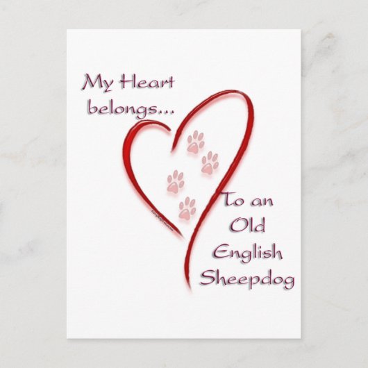 Old English Sheepdog Heart Belongs Postkarte (Vorderseite)