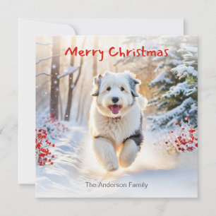 Old English Sheepdog Hund im Schnee Frohe Weihnach Feiertagskarte