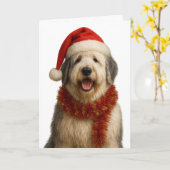 Old English Sheepdog in a Santa hat Christmas card Karte (Gelbe Blume)