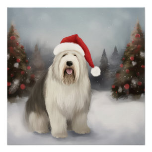 Old English Sheepdog in Snow Christmas Poster