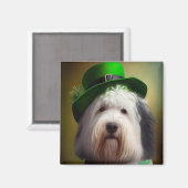 Old English Sheepdog in St. Patrick's Day Dress Magnet (Vorderseite/Rückseite)
