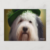 Old English Sheepdog in St. Patrick's Day Dress Postkarte (Rückseite)