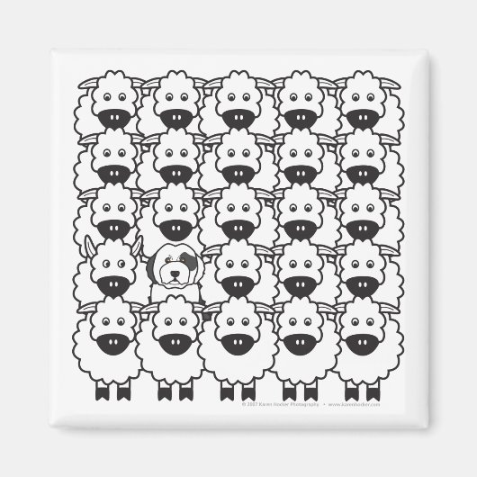 Old English Sheepdog in the Sheep Magnet (Vorne)
