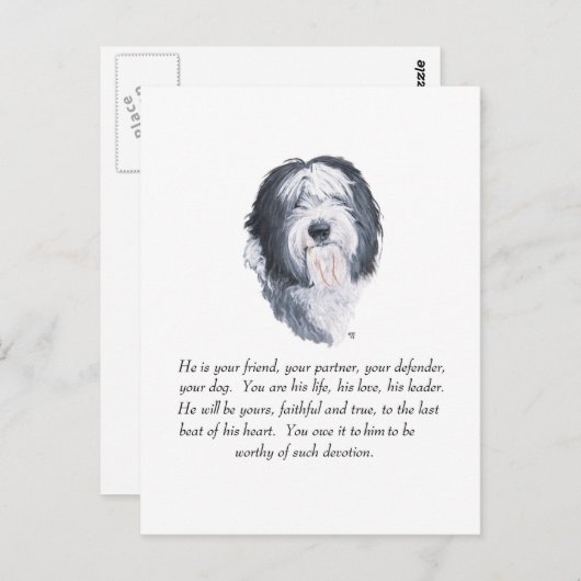 Old English Sheepdog Keepake - Männlich Postkarte (Vorne/Hinten)