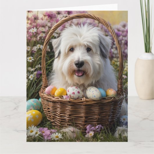 Old English Sheepdog Ostereier Karte (Vorderseite)