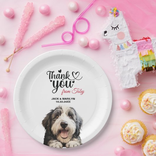 Old English Sheepdog Pappteller (Party)