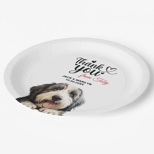 Old English Sheepdog Pappteller (Schrägansicht)