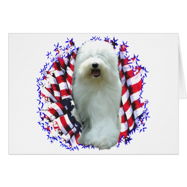 Old English Sheepdog Patriot (Vorderseite (Horizontal))