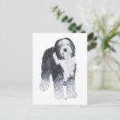 Old English Sheepdog Postkarte (Stehend Vorderseite)