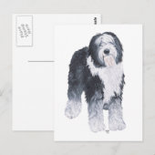 Old English Sheepdog Postkarte (Vorne/Hinten)