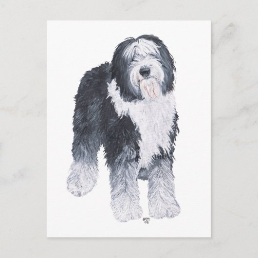 Old English Sheepdog Postkarte (Vorderseite)