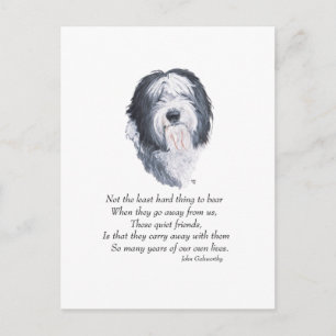 Old English Sheepdog Regenbogenbrücke Postkarte