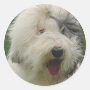 Old English Sheepdog Runder Aufkleber