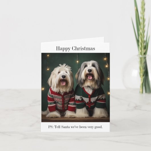 Old English Sheepdogs Christmas Card Karte (Vorderseite)