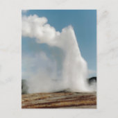 Old Faithful 2009 Postkarte (Vorderseite)