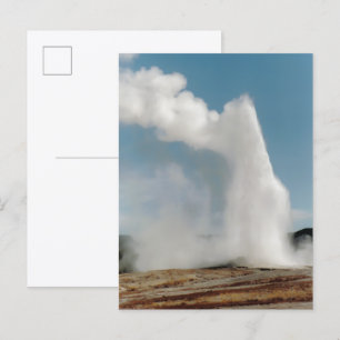 Old Faithful 2009 Postkarte