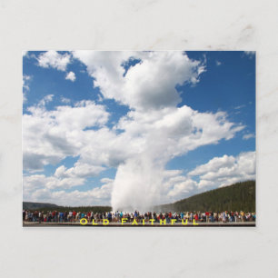 Old Faithful Geyser Postcard: Yellowstone Nat'l Postkarte