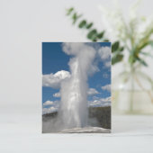 Old Faithful Geyser - Postkarte (Stehend Vorderseite)