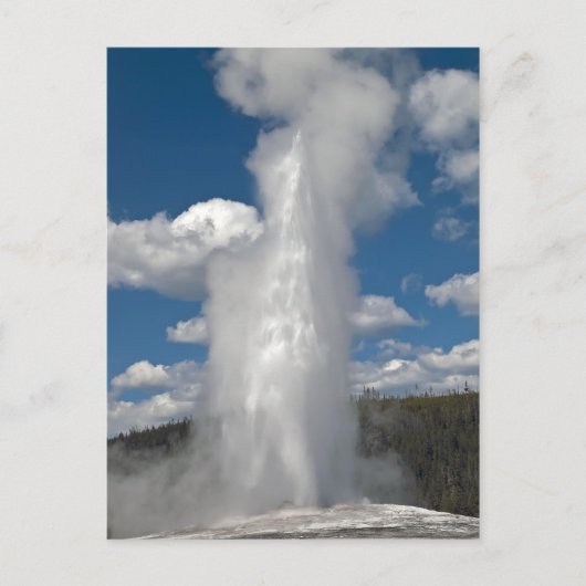 Old Faithful Geyser - Postkarte (Vorderseite)