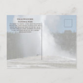 Old Faithful Geyser, Yellowstone Nationalpark Postkarte (Rückseite)