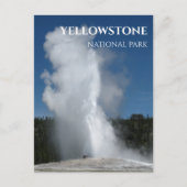 Old Faithful Geyser, Yellowstone Nationalpark Postkarte (Vorderseite)