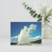 Old Faithies @ Yellowstone Nationalpark Postkarte (Stehend Vorderseite)