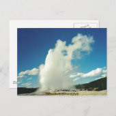 Old Faithies @ Yellowstone Nationalpark Postkarte (Vorne/Hinten)