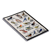 Old Fashioned Birds Notebook Notizblock (Rechte Seite)