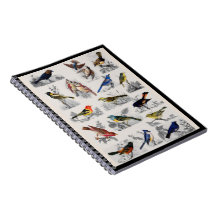 Old Fashioned Birds Notebook