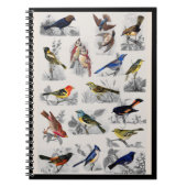 Old Fashioned Birds Notebook Notizblock (Vorderseite)
