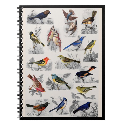 Old Fashioned Birds Notebook Notizblock (Vorderseite)