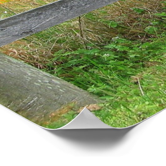 Old Fence Posts Poster (Ecke)