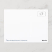 Old Fighter Biplane Airplanes Postcard Postkarte (Rückseite)