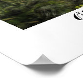 Old Florida Mill Poster (Ecke)