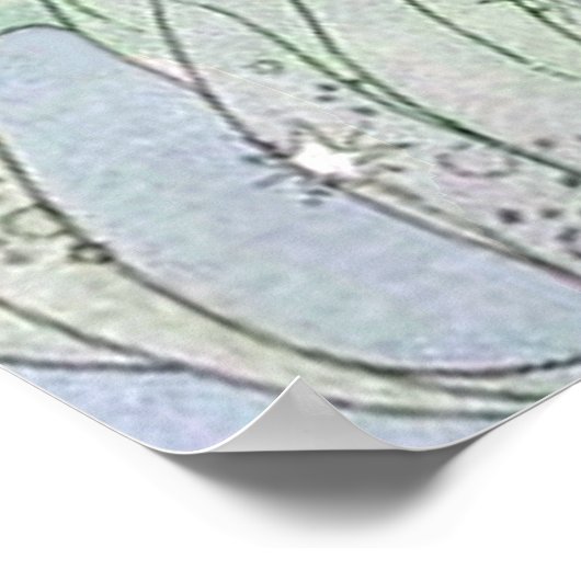 "Old French Fairy Tales" von Virginia Francess Ste Poster (Ecke)