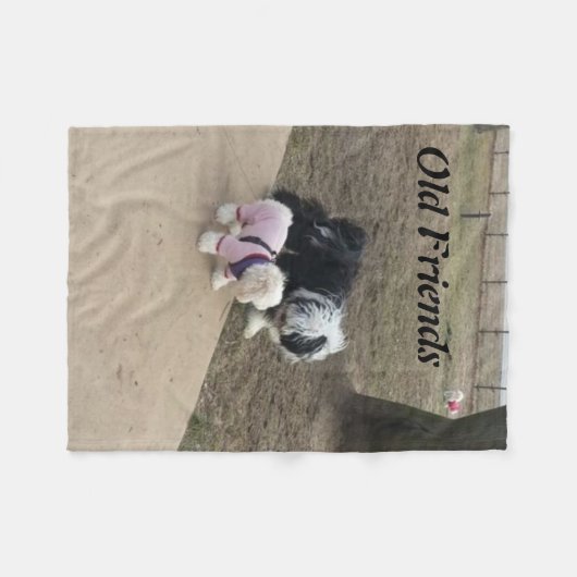 Old Friends Fleece Blanket (Vorderseite (Horizontal))