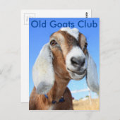 Old Goats Club Postkarte (Vorne/Hinten)