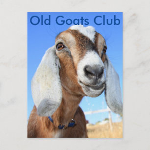 Old Goats Club Postkarte