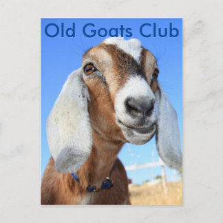 Old Goats Club Postkarte